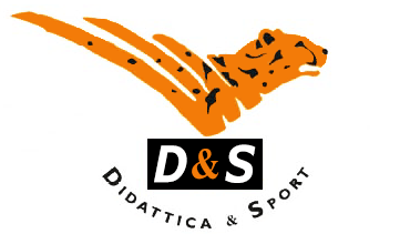  D&S logo