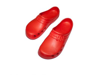 386-rosse